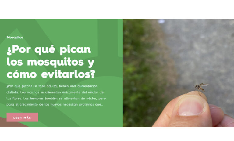seezonpregunta_04042023095441