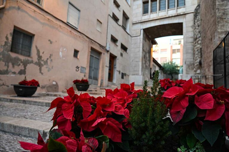 segorbe-23-1_08022024090816