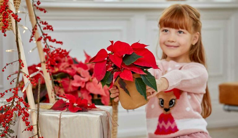 sfe_2022-23_20122022122117