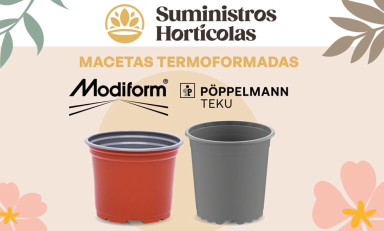 sh_termoformadas_23112023120333