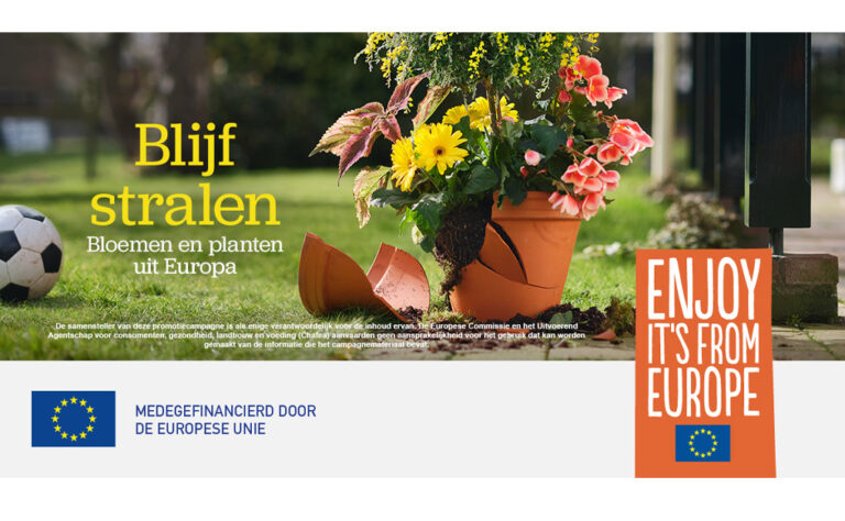 shine_on_flower_council2_13042021102851