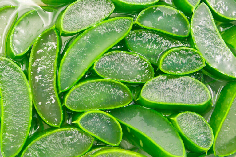 Aloe,Vera,Slice,Top,View,Texture,Background