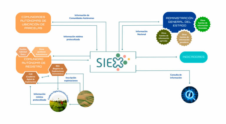 siex_04082023091036