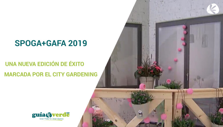 spoggafa2019_12092019101654
