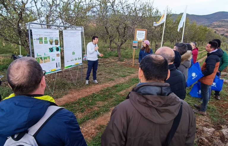 suelo-agricola_12122023154421
