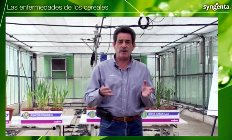 syngenta_15042021120826