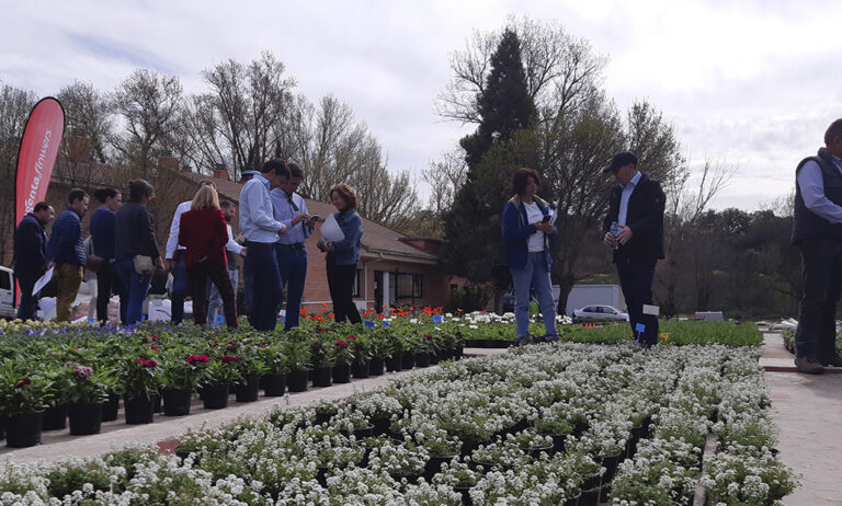 syngenta_24032020105020