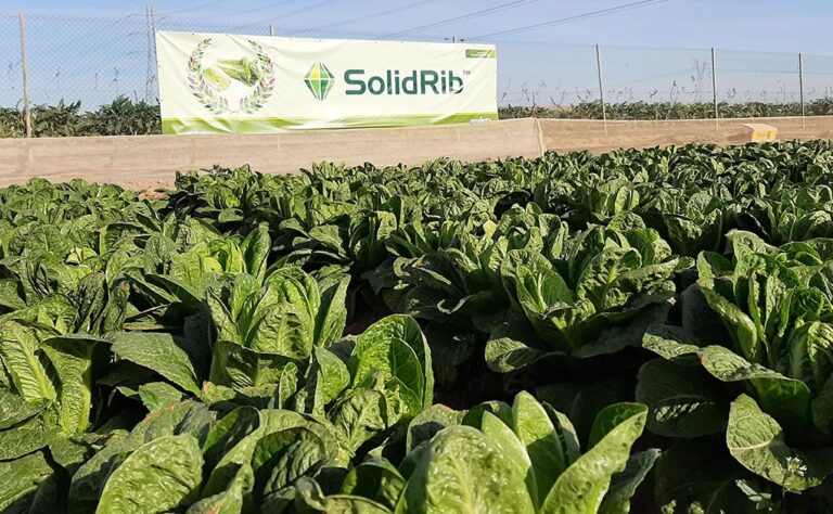 syngenta_25022021100513