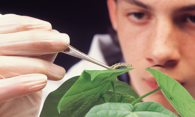 syngenta_29102019124600