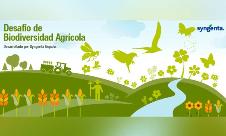 syngenta_concursos_13042022110814