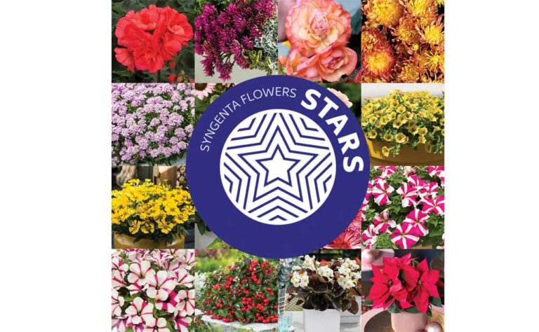 syngenta_flowers_14062022105213