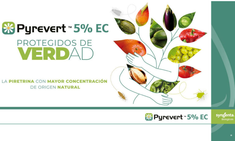 syngenta_pyrevert_20062024084027