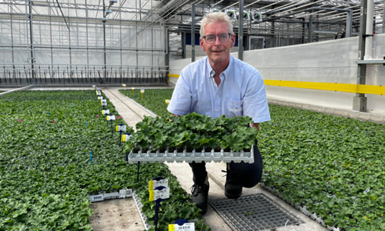 syngenta_sin_turba_30102024083452