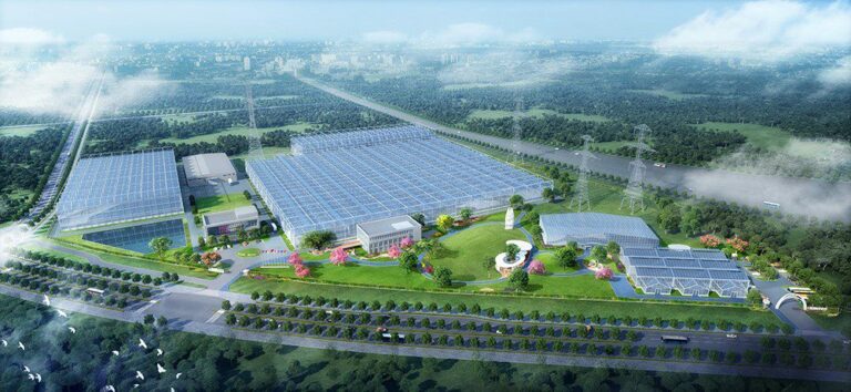 tangchao-horticulture_07102022100204