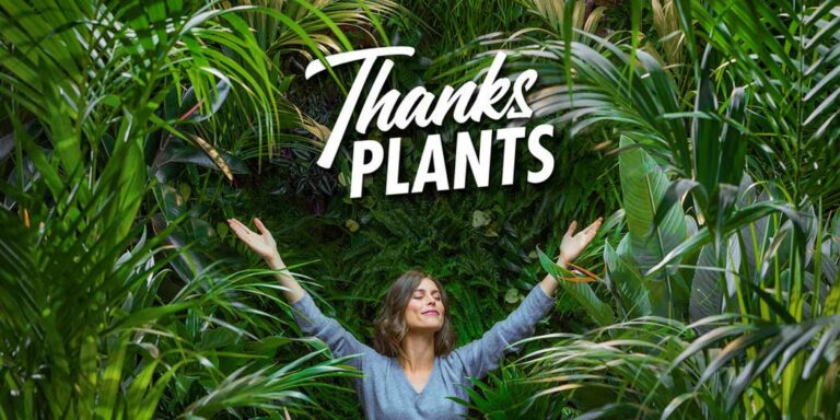 thanks-plants_21072020082224