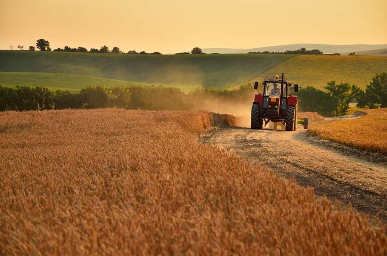 tractor-campo_21072022183648