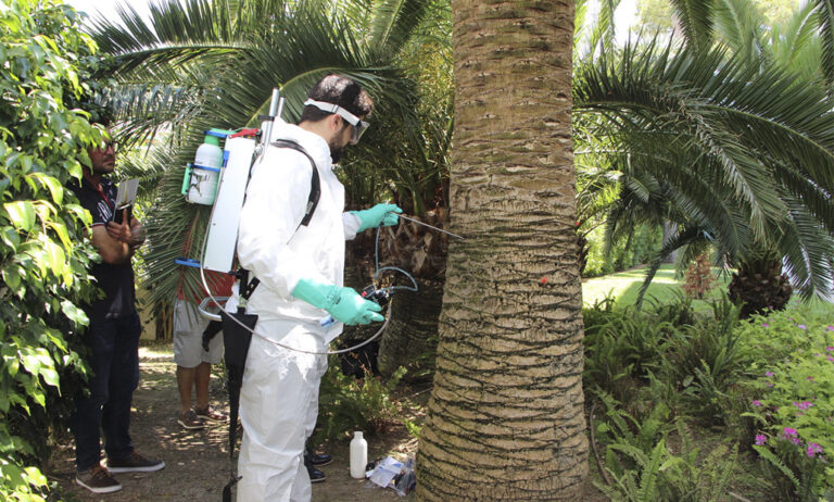 tree-care_07062019070953