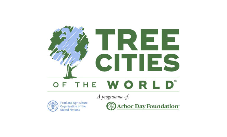 tree_cities_of_the_world_16032021114029