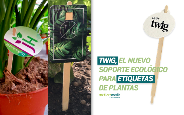 twig-imagen_15072020091044