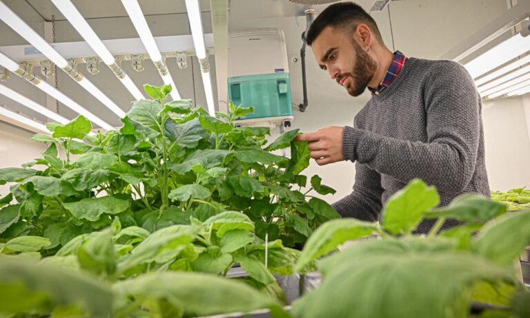 upv_lab_09112021113724