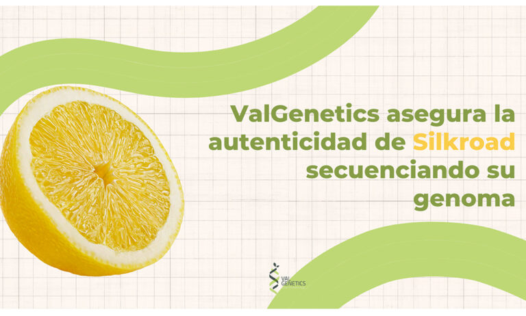 valgenetics_silkroad_30012024142050