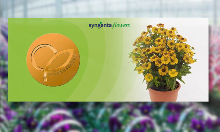variedades_de_syngenta_09072019081913_copia_28022022101210