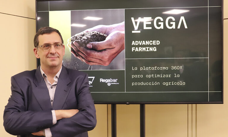 vegga_29042022110212