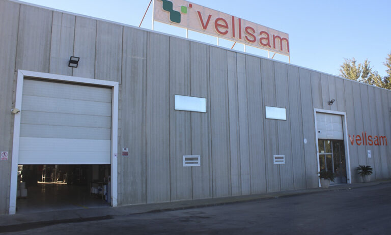 vellsam_21082019090911