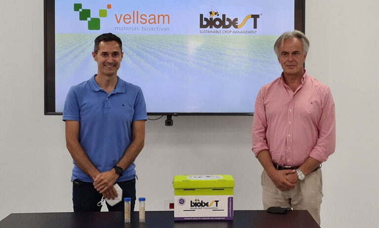 vellsam_24082021105617