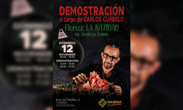 veraleza_31102023155824