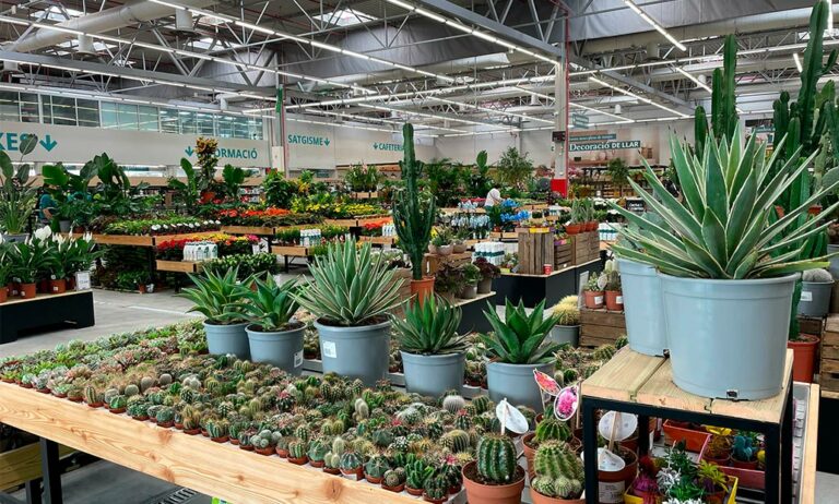 verdecorasantquirzecentrojardineria_17042025082724