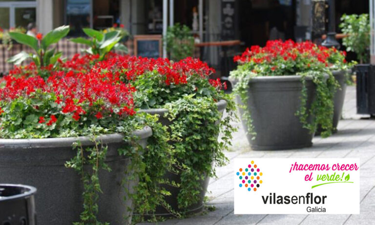 vilas_en_flor_galicia_18112019153212