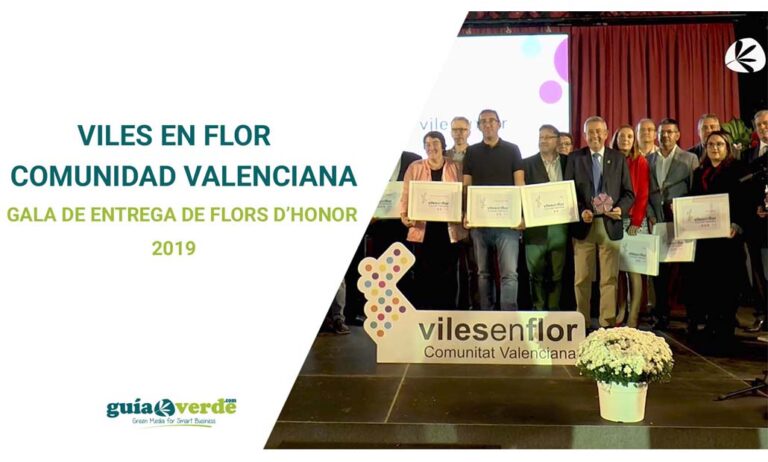 viles-gv-noticia_07112019125335