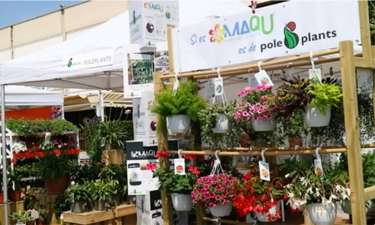 viridalia-poleplants_20062024095233