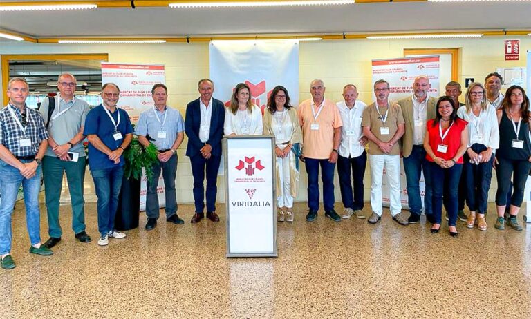 viridalia_presentacion_08062022103828