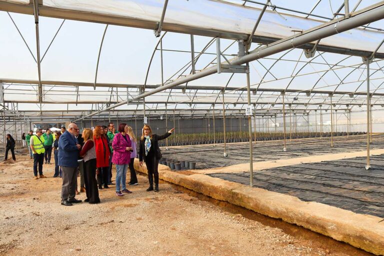 visita-vivercid-marzo-2026