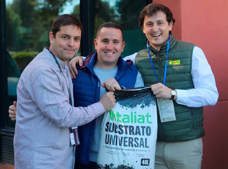 vitaliat_5_25042025091807