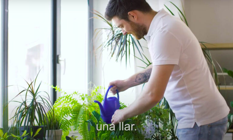 viules_plantes_vives_25062020080459