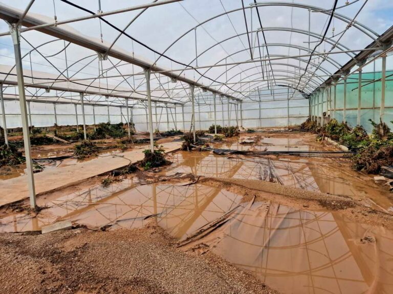 vivero-afectado-dana-valencia_02012025085400