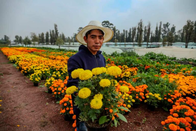 vivero-mexico_17022025090736