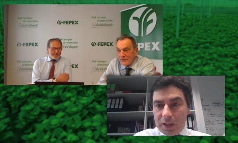 webinar_cadena_11012022132744