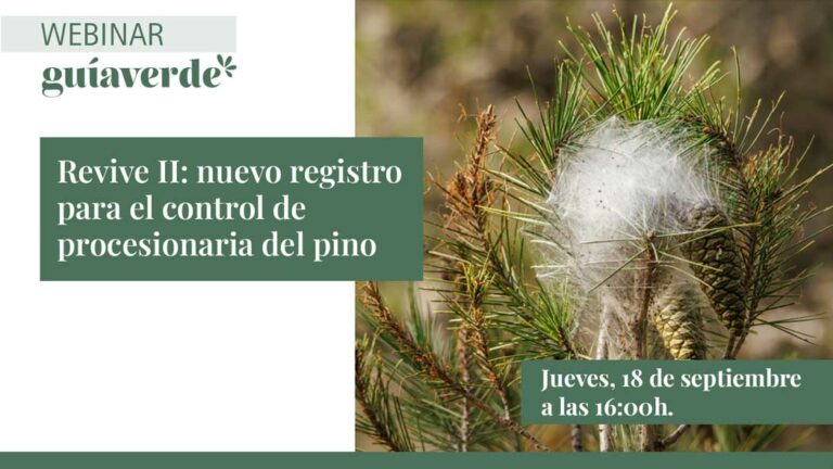 webinar_procesionaria-pino_03092025152308