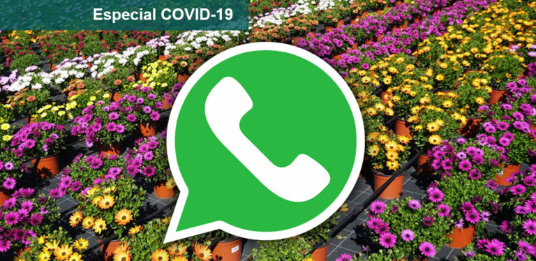 whatsapp2_19032020092251