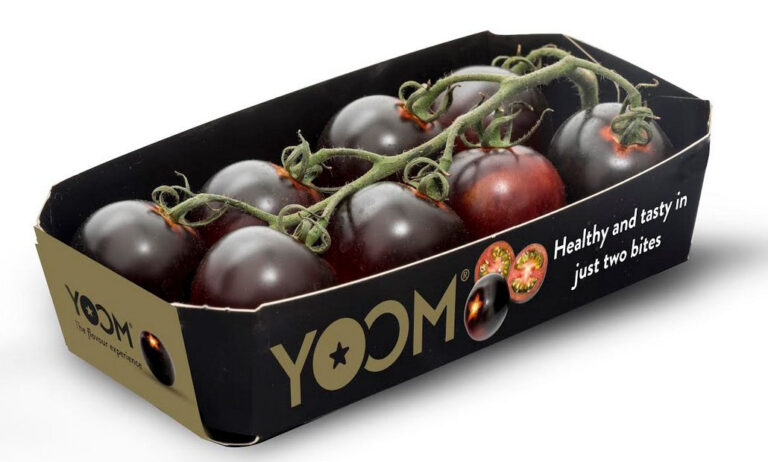 yoom_06022020114021