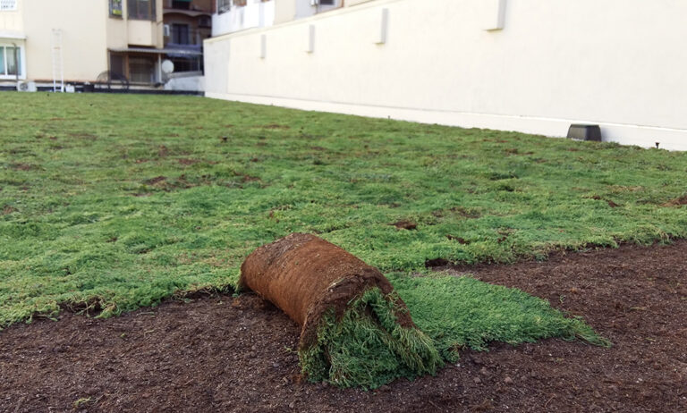 zona_verde_en_barcelona_2_21012020122621