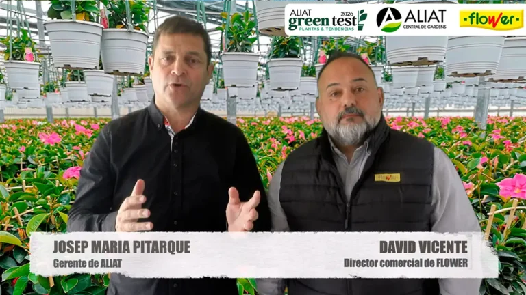 ALIAT FLOWER GREEN TEST 2026