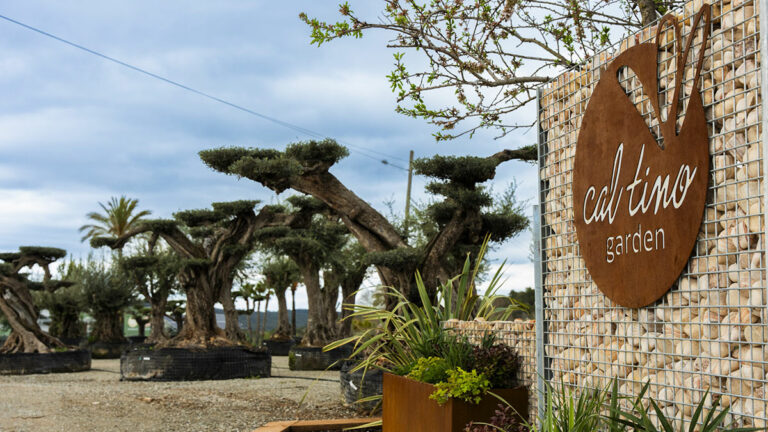 Cal Tino Garden