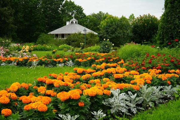diseña tu jardin software