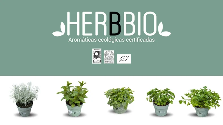 Herbbio
