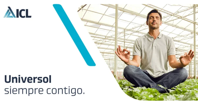 Universol de ICL